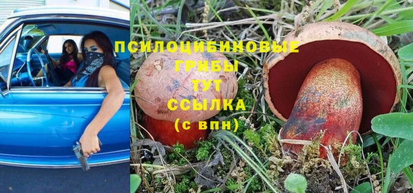 Альфа ПВП Балабаново