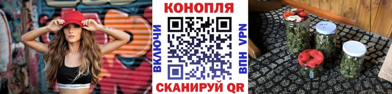 Канабис гибрид  Георгиевск 